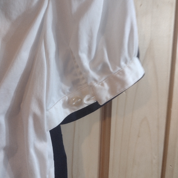 Three Banana Republic button downs - Picture 8 of 12